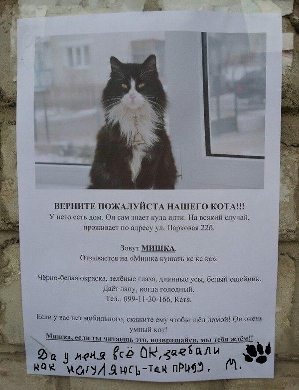 Мишка мы тебя ждем !
