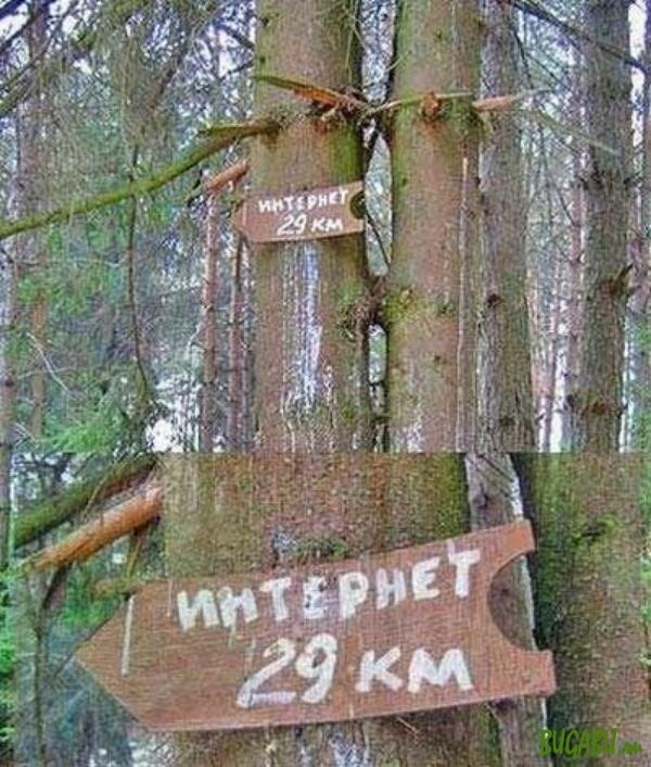 Смешные картинки