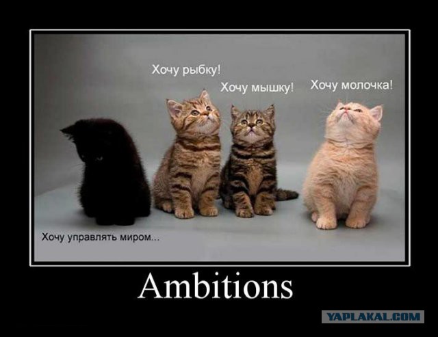 Фотки из инетов