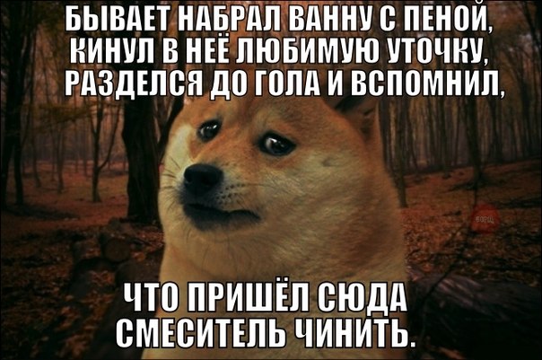 Забавные картинки из Сети