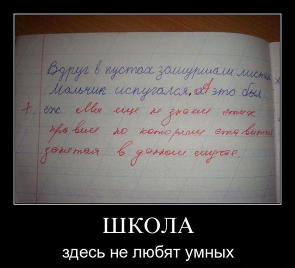 Подборка веселостей из сети
