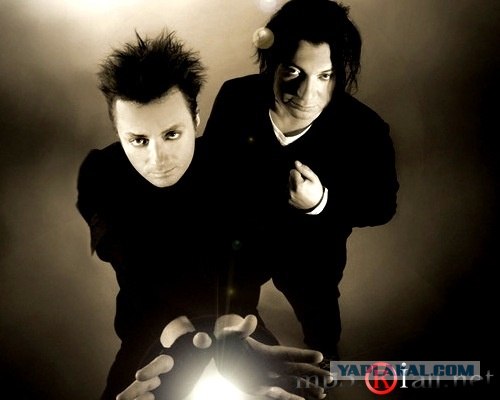 Знаменитости в эйфории.