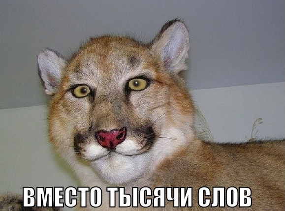 Музей неудачных Чучел