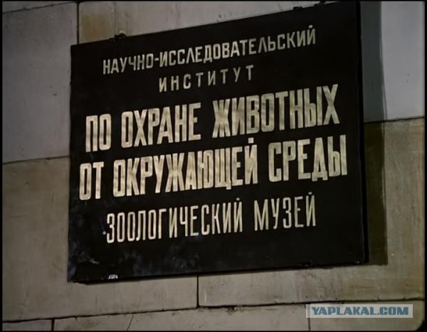 Актёры фильма «Гараж»... 35 лет спустя