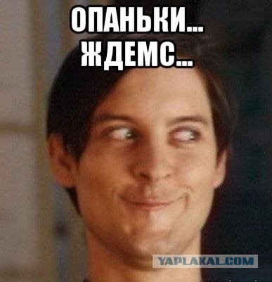 В России начнут выпускать самогон и виски