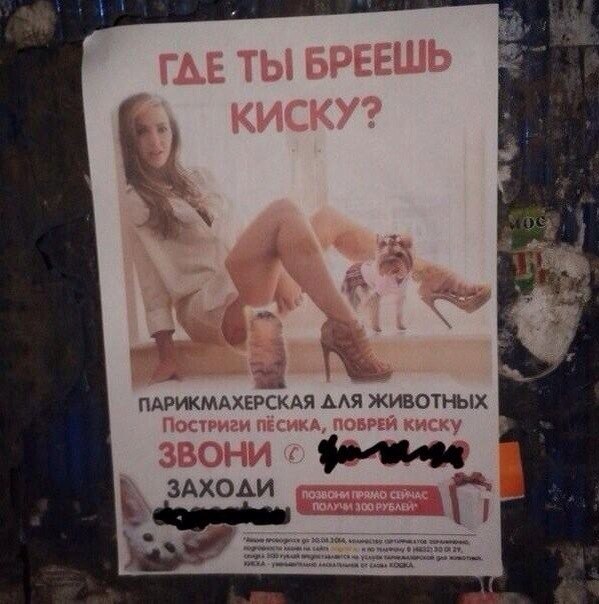 Ужасы и приколы из соцсетей 18+