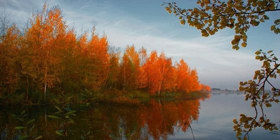 В Госдуме высказались за запрет полетов в Турцию