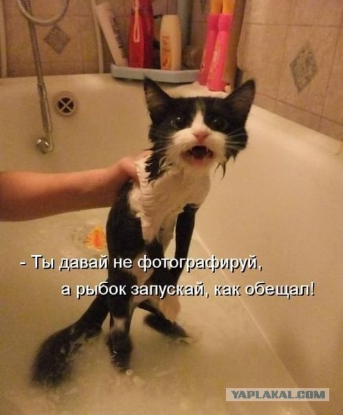 Фотоприколы