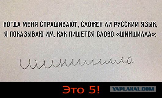 Забавные факты о русском языке