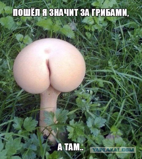 Картинки на пятницу