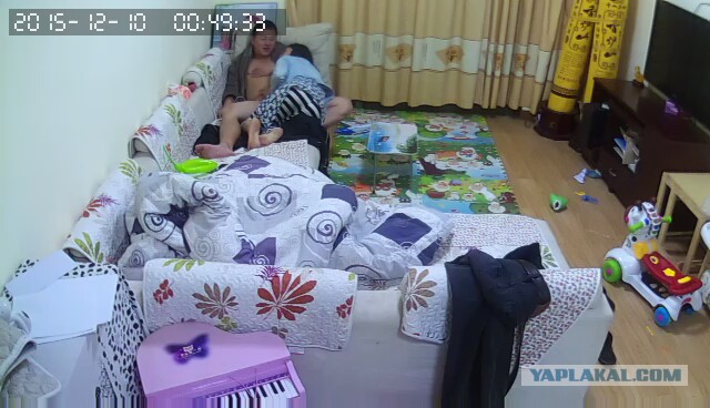 За что я люблю китайцев