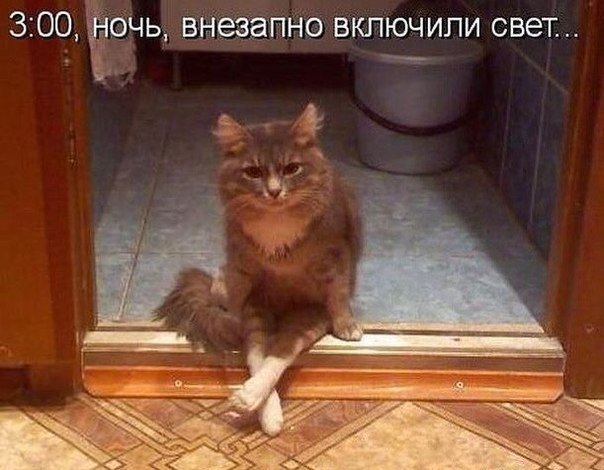 Немного картинок