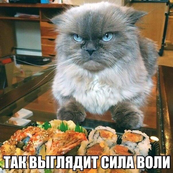 Картинки разные 2
