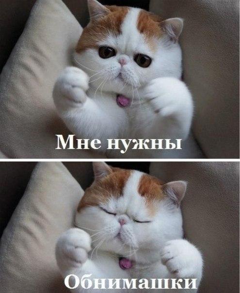 Всяко - разно...картинки