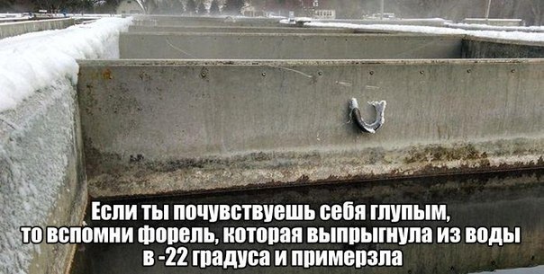 Картинки на утро вторника