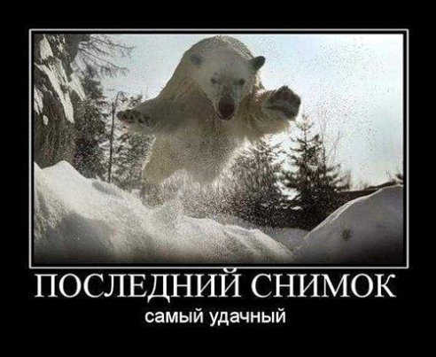 Веселые картинки