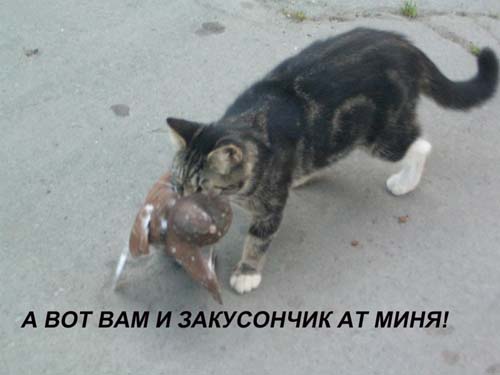 Уже да :) Ужо пятнецца...