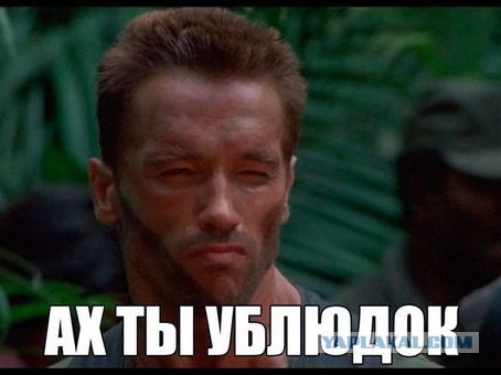 Дмитрий Песков солгал о своем офшоре