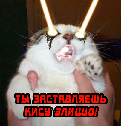 Вторник! Кашаки!