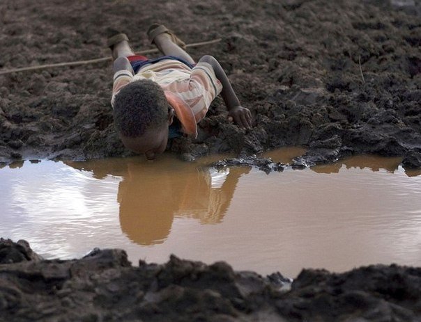 Интересные и веселые картинки