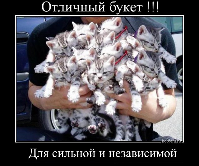Картинки разные.
