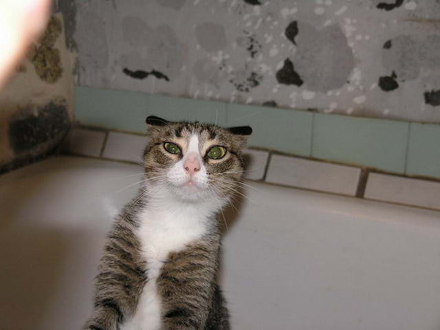 Что ты пристал?!