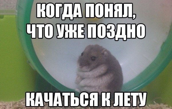 Подборка смешных картинок с надписями