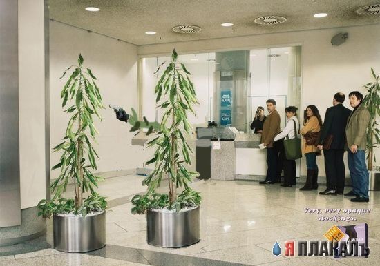 Колготки, сцуко, непрозрачные