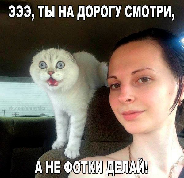 Прикольные животные