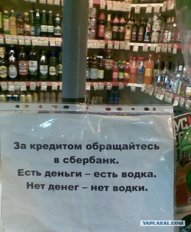 Американец много лет путешествует в крошечном домике, который построил своими руками