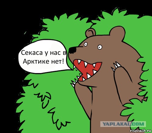 Флирт белой медведицы. Теперь я видел все