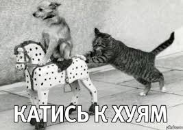 Дочь теннисиста Евгения Кафельникова: Я ненавижу Россию!