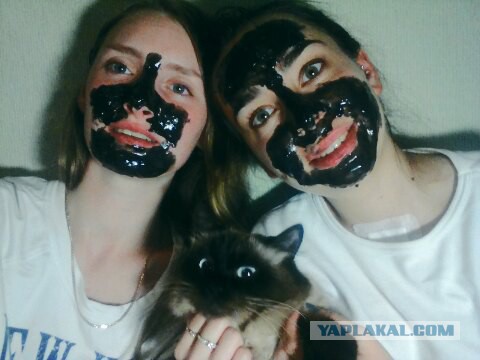 Девушки и кошки