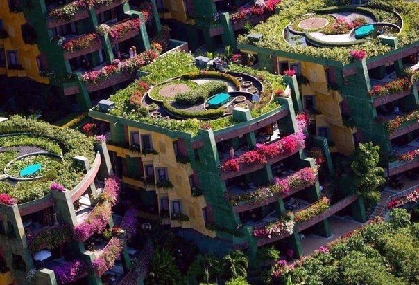 Моменты, запечатлённые на фото и просто позитив 5