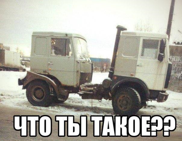 Подборка безудержного веселья