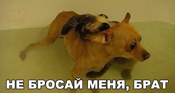 Безудержная деградация