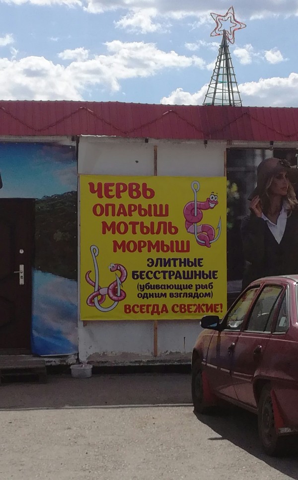 29 картинок