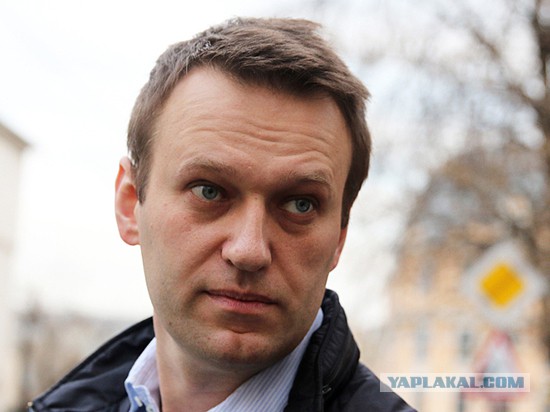После расследования Навального власть решила ограничить запросы в реестр недвижимости