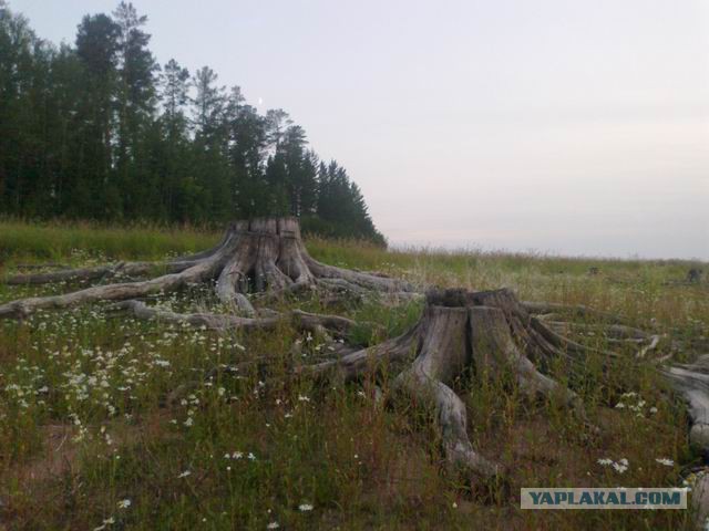Рыбалка на Братском вдхр.