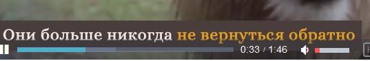 Эмоции животных, которые вышли на свободу из цирка