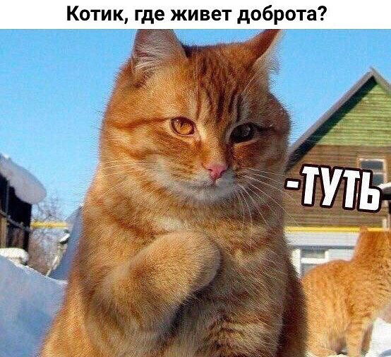 Да чё за хрень-то?!