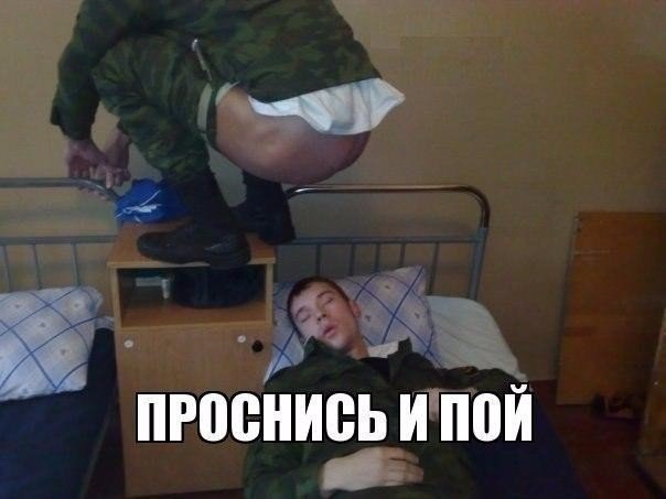 Скотсети и прочие интернеты 13.11.17