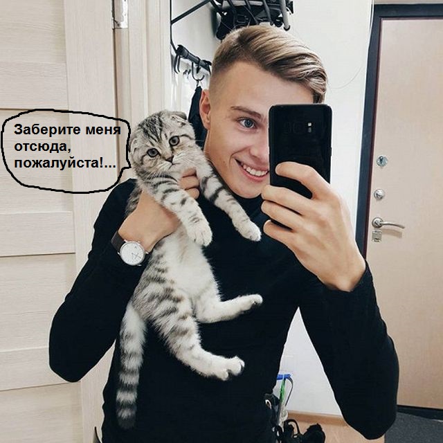 Топ-25: самые удивительные факты про собак