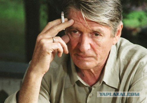 В мире животных