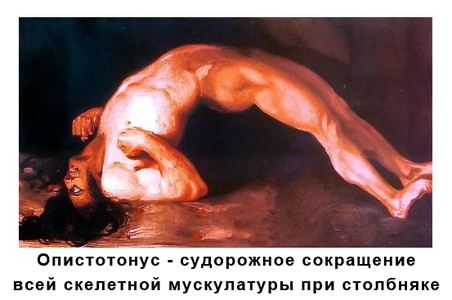 WTF: что тут происходит?