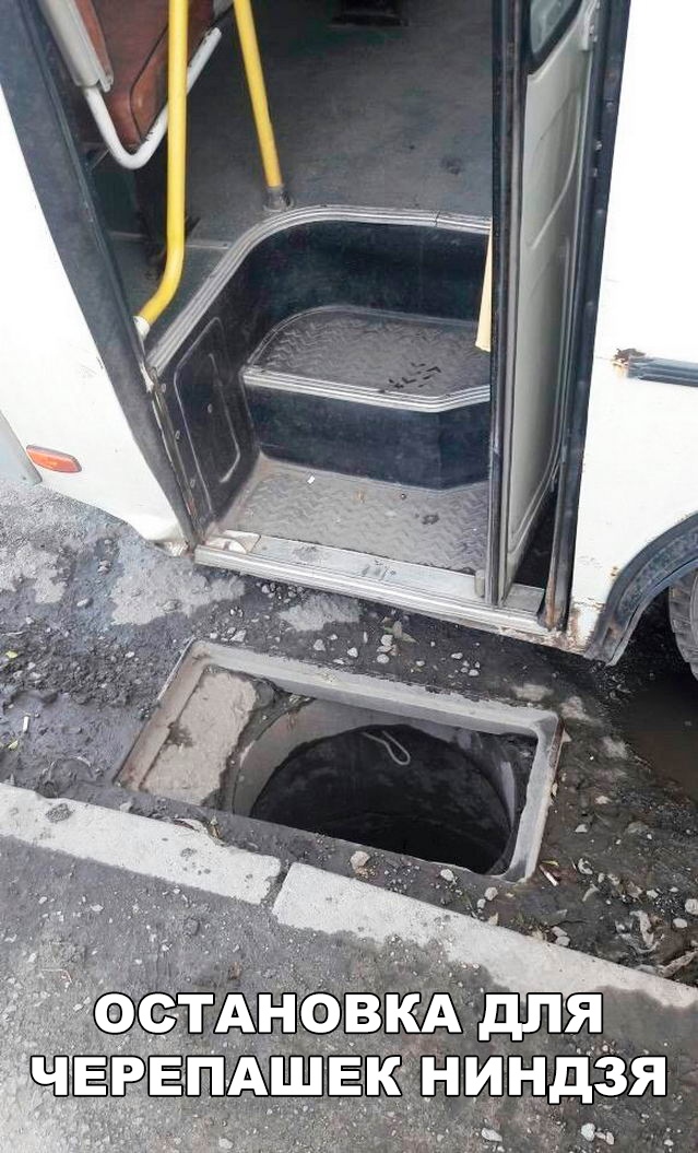 Прикольные картинки абавсём