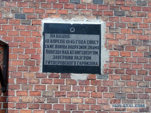 Отпуск в русской Европе или неделя в Калининграде