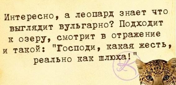 Славная была охота на леопарда