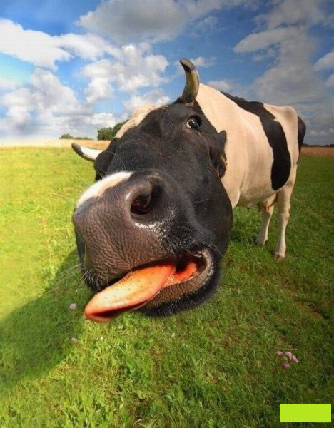 Пригласите девушку на свидание