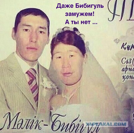 Вдуть или не вдуть. Вот в чём вопрос